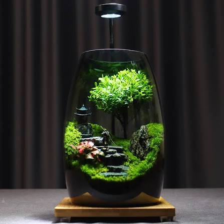 PlantPico ZenFlow| Nature Lover's Gift | Mindfulness Terrarium – PlantPico™