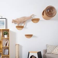 Even to can be used as an cat basket. 21 Ideas For Designing Organizing A Cat Room Extra Space Storage