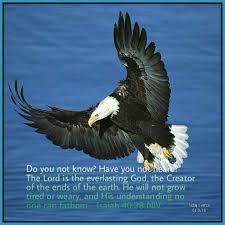 Isaiah 40 28 Niv Do You Not Know Have You Not Heard The Lord Is The Everlasting God The Creator Of The Ends Of The Isaiah 40 28 Daily Bible Verse Scripture
