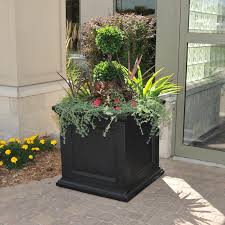 Mayne Inc Fairfield Self Watering Plastic Planter Box Reviews Wayfair Square Planters Garden Planter Boxes Plastic Planter Boxes