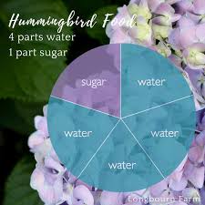 The hummingbird food recipe suitable for our feeders is simply white granulated table sugar dissolved in boiling water (and cooled). How To Make Hummingbird Food Longbourn Farm