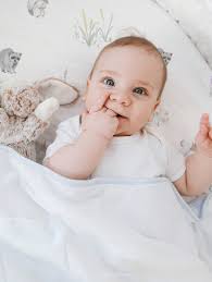 Bassinet Mattress Cover Bassinet Attress Pad Cover-Fit For Drea On E  Karley(Plus), Delta Bassinet Waterproof Mattress Cover