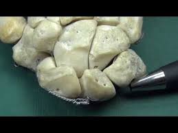 Triquetrum Anatomy And Osteology With Side Determination Youtube Osteology Forensic Anthropology Anatomy Course