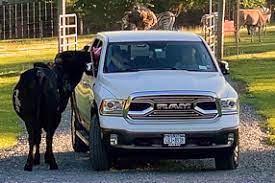 Comment trouver ma prochaine location de vacances ? Adirondack Animal Land