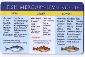 Top 15 Low And High Mercury Fish Safe For Kids And