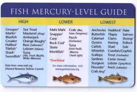 top 15 low and high mercury fish safe for kids and