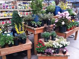 Looking Good Al S Garden Center In Gresham Oregon