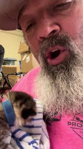 These baby kittens are doing great! Unfortunately 1 of them passed awa...