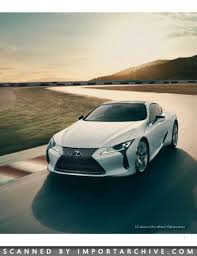 Image result for Autumn Shimmer 2019 LC