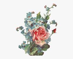 Get it as soon as thu, jul 8. Transparent Aesthetic Flower Drawing Hd Png Download Kindpng