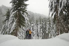 This area is excellent for families and snow play. Cross Country Skiing At Cabin Creek Trails Celebrate Big