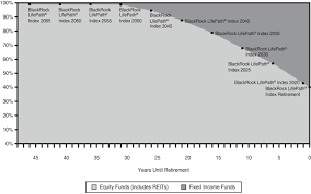 Blackrock Lifepath Index 2065 Fund