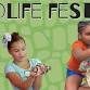 Elachee Wildlife Festival