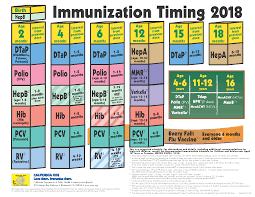 immunization well visit and physical examination