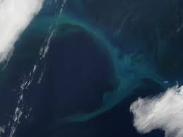 Find the perfect north pacific ocean stock photo. Phytoplankton Bloom In The North Pacific Ocean