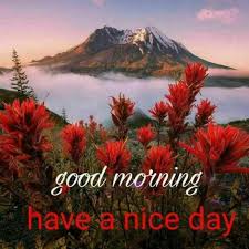 The beautiful good morning images with flowers is the best way to greet your loved ones a great morning. 126 Fresh Good Morning Nature Images Photos Free Download For Whatsapp Good Morning