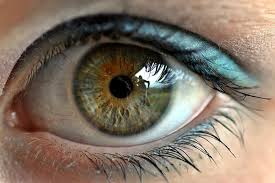 Image result for Sclera