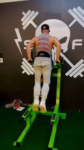 Been hitting weighted dips