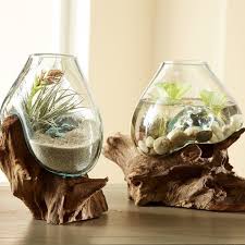 Teak And Blown Glass Vase Sculpture Glass Blowing Hanging Vases Glass Terrarium