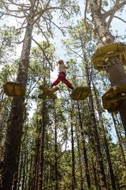 Forestal Park Tenerife Tenerife Forestal Zoologico
