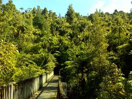 Explore the best auckland nature & parks and include in your trip itinerary. Titirangi S Bridge To Nowhere Auckland Nz History Auckland Woodland Park