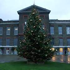 Kensington Palace Christmas 2022 Giant Kensington Palace Christmas Tree﻿ Outside Kate Middleton And Meghan  Markle's Home