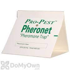 The enoz para moth balls also kill beetles and clothes moths, their eggs and larvae. Pantry Pest Trap Pantry Pest Pheromone Glue Trap Free Shipping