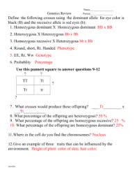 Create a punnett square to show the possibilities that would result if spongebob and sponge susie had children. Answer