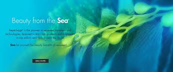 Sea cleanse® foaming seaweed cleanser. Facials Altitudes Massage Spa In Big Bear Lake 909 300 5966