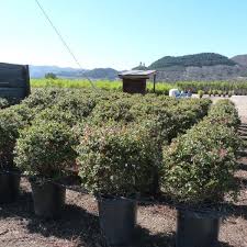 Maybe you would like to learn more about one of these? Shrubhub