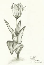  Flower Sketch By Verseapetrova On Deviantart Flower Sketch Flower Sketch Images Flower Drawing