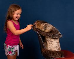 5 species are included, but you'll probably see more than 5 animals. 5 Birthday Party Animal Experiences Chicago Parent