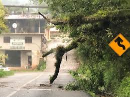 Lluvia en la Sierra Mazateca provoca caída de árboles y deslaves - Ruta 135