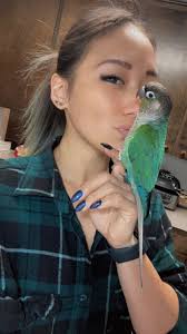 How to find a lost green cheek conure in Albany, Oregon?