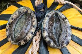 Maybe you would like to learn more about one of these? Ein Gasthaus In Dem Sie Frisch Gefangene Abalone Amarge Essen Konnen Ein Gastehaus Und Ein Gastehaus Zum Angeln In Toba City Prafektur Mie