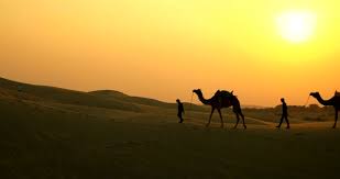 Going through the sandstorm in the sahara desert. Unidentified Camel Trader Crossing The Stock Footage Video 100 Royalty Free 13289423 Shutterstock
