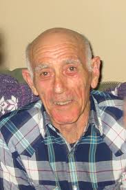 Contributions to the tribute of D.S. Sam Bruzzese