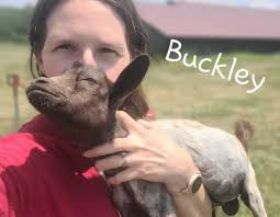 Not Your Average Yoga