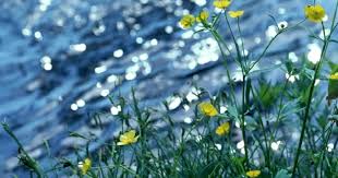 Wallpaper Hd Nature Spring Screensaver Free Wallpapers Free spring screensaver is very nice and attractive screensaver with rotate amazingly breathtaking spring season images and pictures. wallpaper hd nature spring screensaver