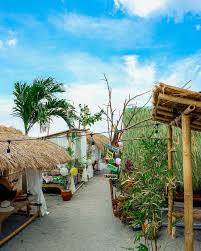 Weekend Wave Watching (@wwwbeachresort) • Instagram photos and videos