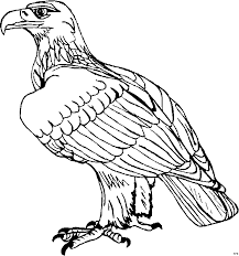 Adler Malvorlagen Coloring And Malvorlagan