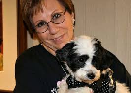 8 reviews of innocent paws puppy rescue we have fostered through innocent paws and they were so kind and accommodating with everything involved in the fostering process. Small Paws Rescue Largest Breed Rescue In The Country