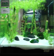 Singapore Aquarama 2011 Nano Tank Competition Result Aquarium Fish Tank Aquascape Aquarium Fish Tank