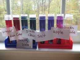 Science Experiments Red Cabbage Indicator Fun For Ages 4