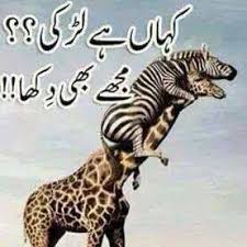 Use here urdu jokes sms 2021 collections for your best friends. Funny Jokes In Urdu Posts Facebook