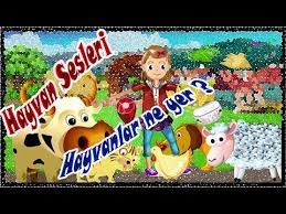 hayvan sesleri hayvanlar ne yer hayvanlar sarkisi cizgi film gercek hayvan sesleri animals youtube hayvan hayvanlar yerler
