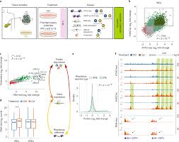 The Impact Of Proinflammatory Cytokines On The Cell