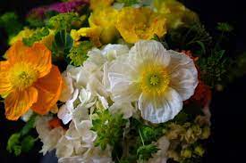 **while stock last, offer excludes 99. Michler S Florist Lexington Ky Florist Since 1901 Flower Delivery