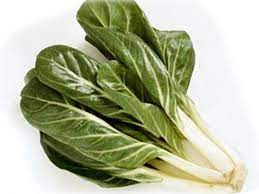 Le coste sono una verdura tipicamente autunnale e invernale, della stessa famiglia delle bietole.ricche di vitamine, fibre e sali minerali sono ottime mangiate da sole come contorno, ma. Bietola Da Costa Bieta Coste Alimentipedia It