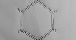 Maybe you would like to learn more about one of these? Draw It Neat How To Draw Plant Cell Plant Cell Plant Cell Drawing Biology Drawing